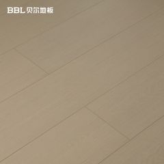 貝爾地板WB8805設(shè)計師專供時尚設(shè)計強(qiáng)化系列強(qiáng)化復(fù)合地板12mm