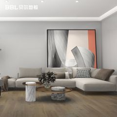 貝爾地板經(jīng)典尊享系列BL010強(qiáng)化復(fù)合地板家用12mm