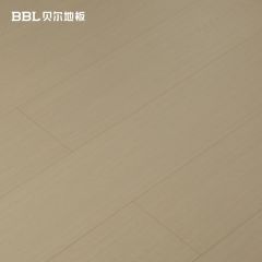 貝爾地板WB8804設(shè)計師專供時尚設(shè)計強(qiáng)化系列強(qiáng)化復(fù)合地板12mm